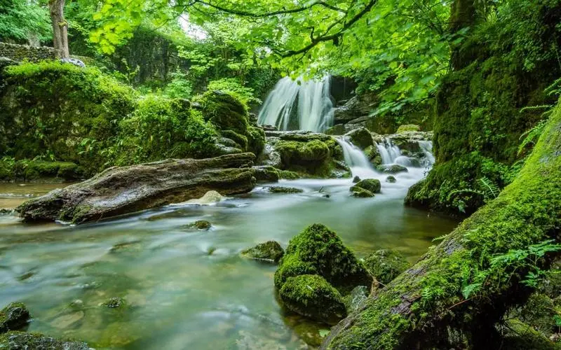 高效科技
