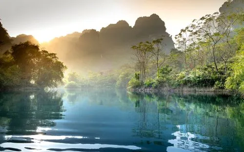 高效电子高端